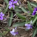 모노골샘터 이미지