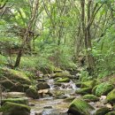 횡성자연휴양림 | 횡성자연휴양림 301호 1박 후기 | 강원도 여름 가족여행 가성비 숙소, 즐길거리, 계곡, 바베큐, 수영장...