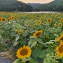 일정떡갈비 이미지