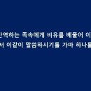 방주 이미지