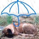 김춘식농장 이미지