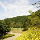 뉴서울컨트리클럽 이미지