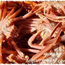 신이수산 이미지