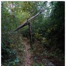 대림아파트 앞 둔치 이미지