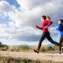 독일 렉스톤 보청기 이미지