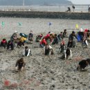 꼬막꼬막 이미지