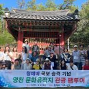 영천 청제비 이미지