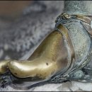 ji(나만의) 이미지