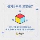 나무수학학원