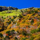 【제100차 푸른 정기산행】 제주 한라산(1,950m) - 11/11 - 12일 이미지