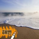금강송체험야영장 이미지