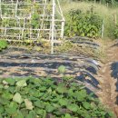 수민농장 이미지