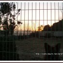 남구-011 이미지