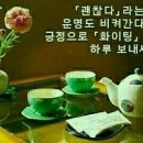 봄이 Daum카페