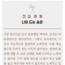 나이스카 - 세종특별자치시 갈매로 351 | 나이스카