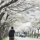 이남강변로 티스토리