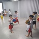 경희대 최강 MTA 태권도 네이버블로그