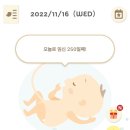 스시태랑