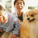 멍멍선생 이미지