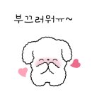 카페이끌리다