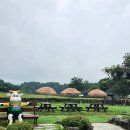 나래목장 | 제주 여행 아침미소목장 목장에서 생산한 우유로 만든 카이막