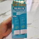 연출나라 | 올리브영 식물나라 선크림 후기 보라 톤업 vs 수분 선젤, 내 피부 타입에 맞는 선택은?