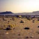 태평목장 이미지