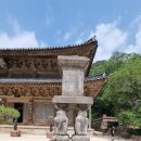 구례 화엄사ㆍ섬진강 대숲길 트래킹