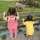 지동목장 이미지