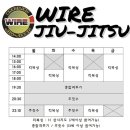 명문체육관 인화도장 | 인생 첫 주짓수 후기 및 소소한 근황 일기
