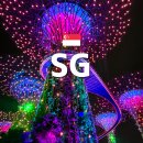 (주) 수퍼트리 | 싱가포르 가든스바이더베이 입장권 쥬라기월드 플라워돔 슈퍼트리