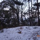 지천면사무소 이미지