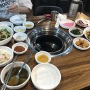 초원갈매기 이미지