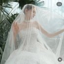 벌미천 | W7. 본식드레스 | 대전 하우스오브에이미 당일지정계약 후기 | 하오에 드레스투어 워크인