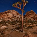 Y. ROAD 135 이미지