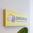 멈무는하루 이미지