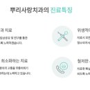 금촌뿌리사랑치과의원 이미지