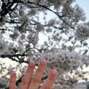 뷰티샵 | 인천 송도 네일샵 피어라뷰티샵 후기｜깔끔한 관리 만족 후기