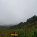 삼미초등학교 이미지