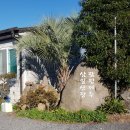 팜핑제주 이미지