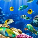 문원도서관 이미지