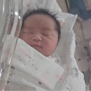 은산부인과의원 | #12. 기메의 출산 D-DAY(예진산부인과 제왕절개 후기ㅎ)