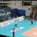 230113 GS칼텍스vsIBK기업은행 여자배구 장충체육관 직관 후기