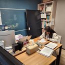 분포고등학교 이미지