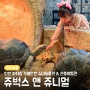 WR(인천광역시 남동구)-20[서창남순환로]-하-1 | [인천/남동] 인천 아이와 함께 가볼만한 실내동물원 &amp; 곤충체험관 추천, 쥬벅스 앤 쥬니멀