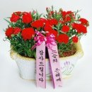 5월 15일 목요일 간추린 뉴스와 날씨 이미지