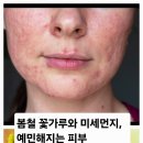 광채 피부샵