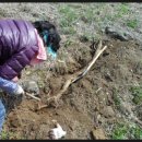 삼미농장 이미지