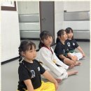 대호태권도 이미지