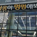 야옹아 멍멍해봐 이미지